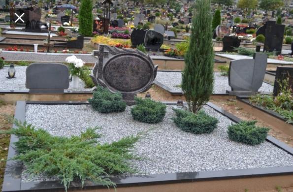 Kapų tvarkymas ir irengimas-2