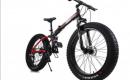 Parduodamas dvitaris fat bike-1