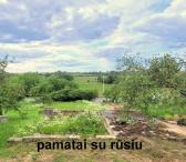 Parduodamas sodo sklypas su pamatais ir rūsiu-0