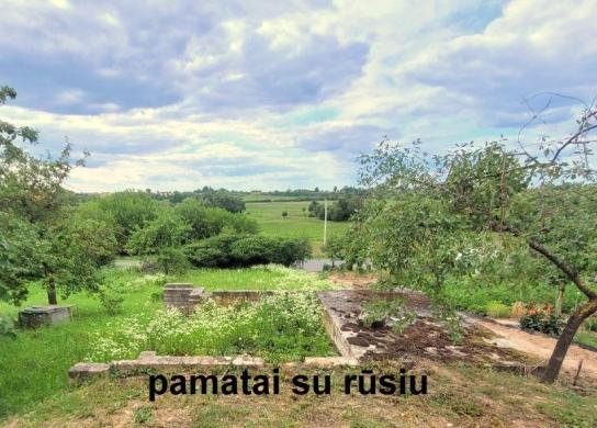 Parduodamas sodo sklypas su pamatais ir rūsiu-0