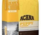 Didmeninė prekyba Orijen, Acana ir Royal Canin-0
