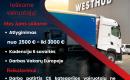 Tarptautinių reisų vairuotojas-0