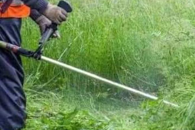 Žolės šienavimas Vilniuje ir aplinkui-0