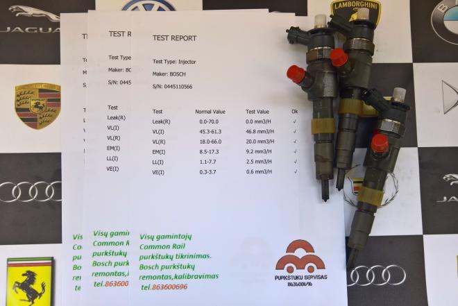 Kuro purkštukai Peugeot - Partner 1.6d 0445110566-0