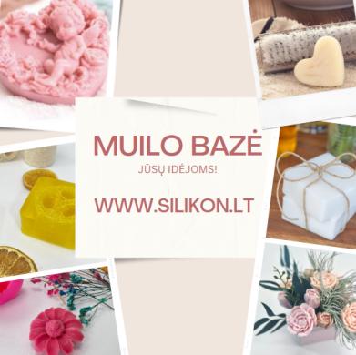 Muilo bazė-0