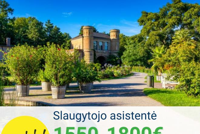 Slaugytojo asistentė Vokietija-0