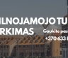 NEKILNOJAMOJO TURTO SUPIRKIMAS-0