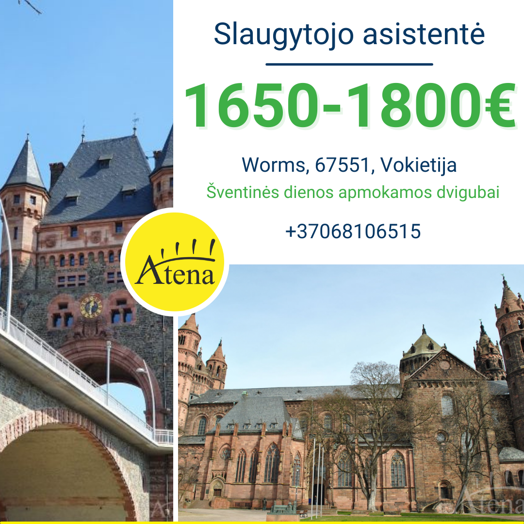 Slaugytojo asistentė Vokietija-0
