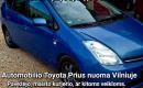 Automobilių nuoma-0