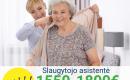 Slaugytojo asistentė Vokietija-0