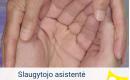 Slaugytojo asistentė Vokietija-0