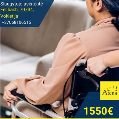 Slaugytojo asistentė Vokietija-0
