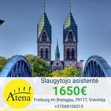 Slaugytojo asistentė Vokietija-0