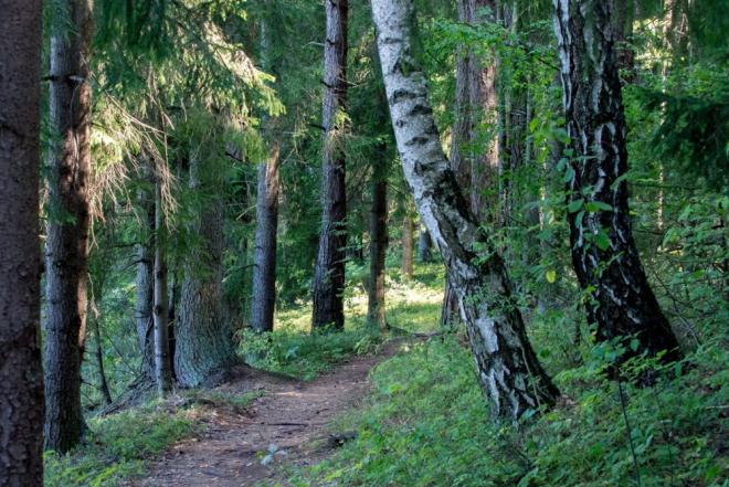 Parduodamas 1,8246 ha žemės sklypas Širvintų rajone, Bilotų kaime.-0