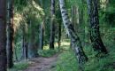 Parduodamas 1,8246 ha žemės sklypas Širvintų rajone, Bilotų kaime.-0