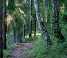 Parduodamas 1,8246 ha žemės sklypas Širvintų rajone, Bilotų kaime.-0