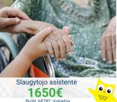 Slaugytojo asistentė Vokietija-0