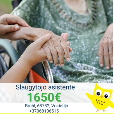 Slaugytojo asistentė Vokietija-0