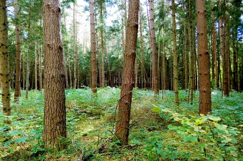 Parduodamas 1,0400 ha žemės sklypas Žvagakalnio k-0