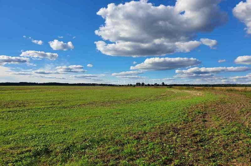 Parduodamas 3,78 ha žemės  sklypas šalia Jauniūnų, Žarnavagių k.,  Širvintų raj.-0