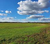 Parduodamas 3,78 ha žemės  sklypas šalia Jauniūnų, Žarnavagių k.,  Širvintų raj.-0