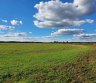 Parduodamas 3,78 ha žemės sklypas šalia Jauniūnų, Žarnavagių k., Širvintų raj.-0