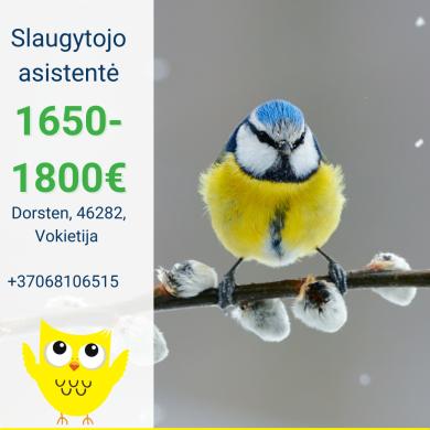 Slaugytojo asistentė Vokietija-0
