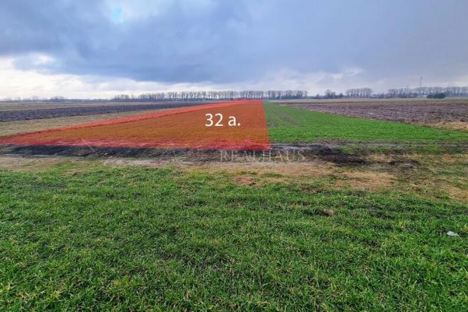 32 a žemės sklypas Širvintų r., Širvintų sen., Širvintų k.-0