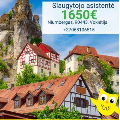 Slaugytojo asistentė Vokietija-0