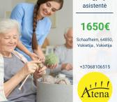 Slaugytojo asistentė Vokietija-0