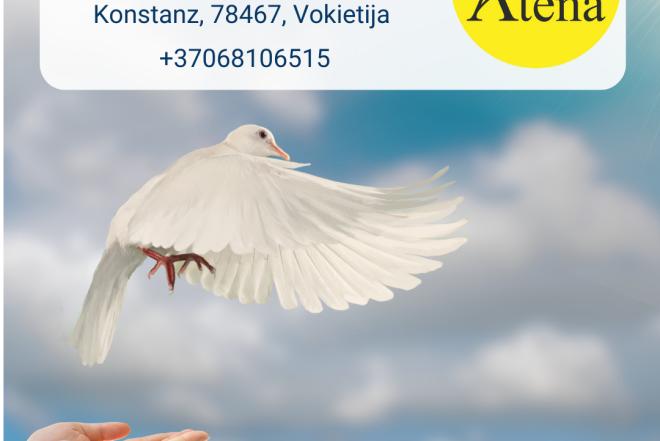 Slaugytojo asistentė Vokietija-0