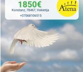 Slaugytojo asistentė Vokietija-0