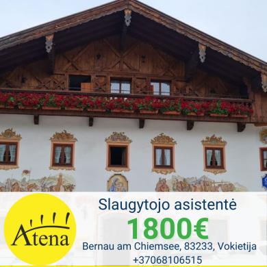 Slaugytojo asistentė Vokietija-0