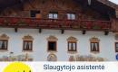 Slaugytojo asistentė Vokietija-0