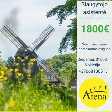 Slaugytojo asistentė Vokietija-0