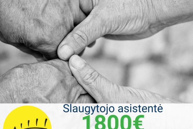 Slaugytojo asistentė Vokietija-0
