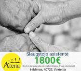 Slaugytojo asistentė Vokietija-0