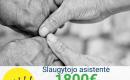 Slaugytojo asistentė Vokietija-0