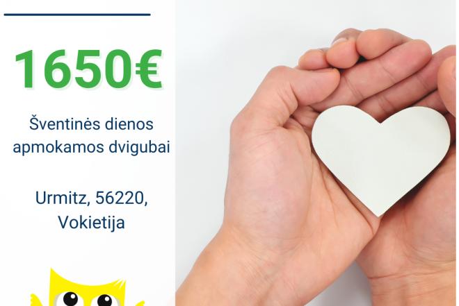 Slaugytojo asistentė Vokietija-0
