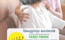 Slaugytojo asistentė Vokietija-0