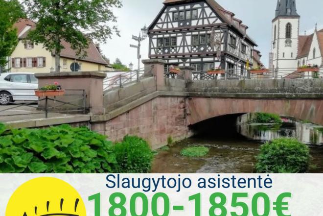 Slaugytojo asistentė Vokietija-0