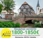 Slaugytojo asistentė Vokietija-0