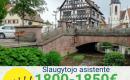 Slaugytojo asistentė Vokietija-0