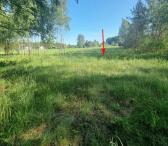 Sukurkite savo rojaus kampelį 45a. žemės sklypas Šalčininkuose!-0