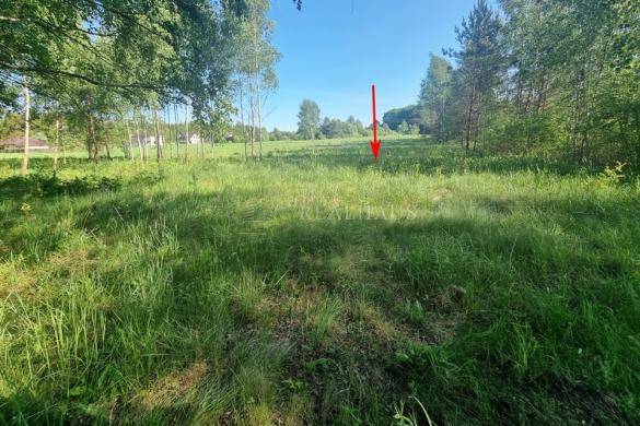 Sukurkite savo rojaus kampelį 45a. žemės sklypas Šalčininkuose!-0