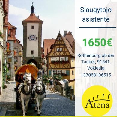 Slaugytojo asistentė Vokietija-0
