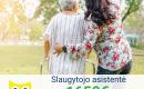 Slaugytojo asistentė Vokietija-0