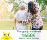 Slaugytojo asistentė Vokietija-0