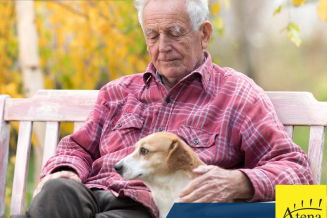 Slaugytojo asistentė Vokietija-0