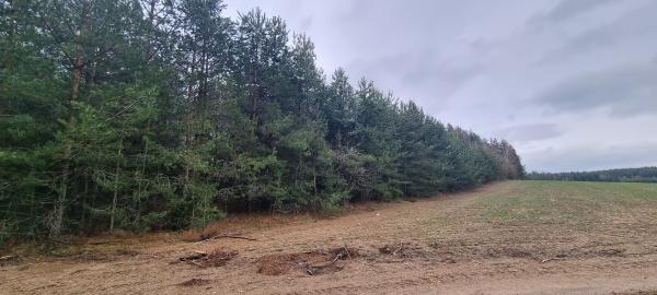 Vilniaus r. sav., Tribilų k., žemės ūkio, miškų ūkio paskirties sklypas-0